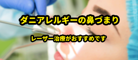 ダニアレルギーの鼻づまりには レーザー治療がおすすめです